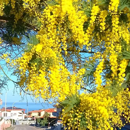 Il Canto Del Mare *